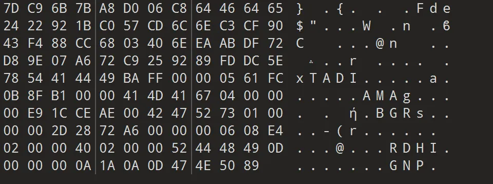 image-20250208142651795